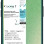 BeUp- Корпоративное здоровье tg 2
